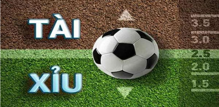 Tài xỉu bóng đá go99 thu hút đông đảo từ nhiều tay chơi hàng đầu Tài xỉu bóng đá go99 thu hút đông đảo từ nhiều tay chơi hàng đầu